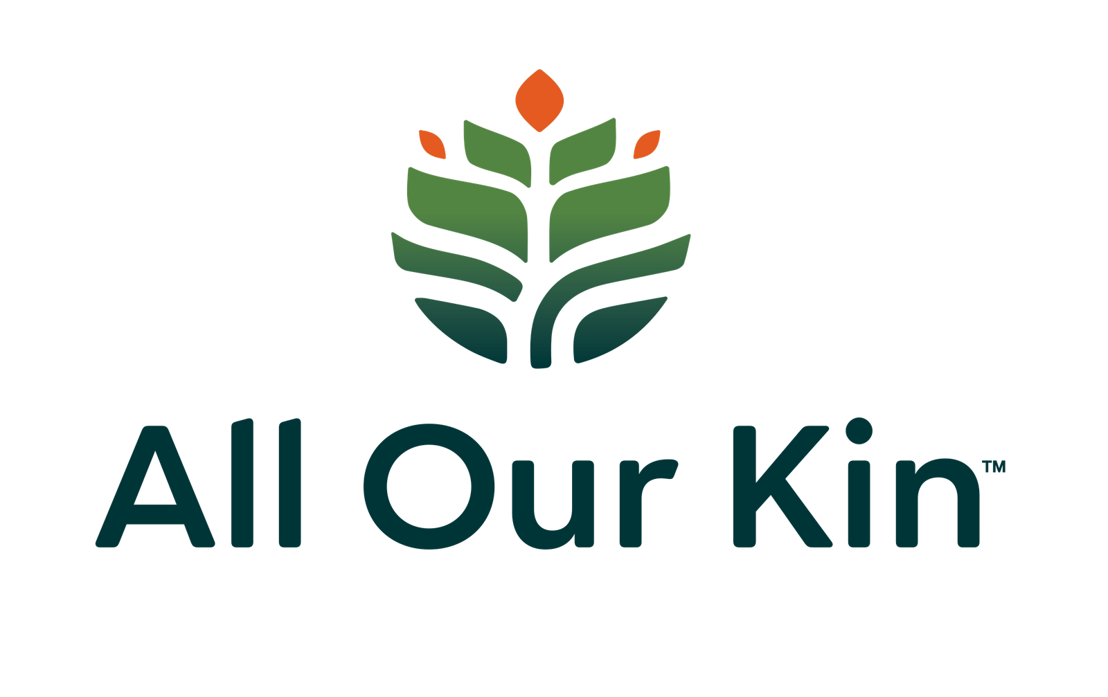 AOKPrimaryLogoTrademark